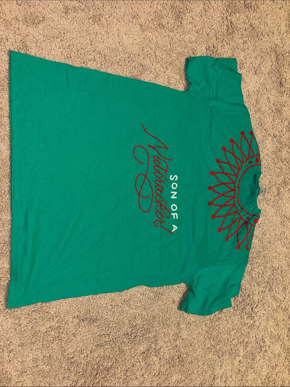 Gildan Teal Short Sleeve T‑Shirt with Red and White Print